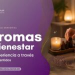 Aromas y bienestar cómo los sentidos transforman una experiencia